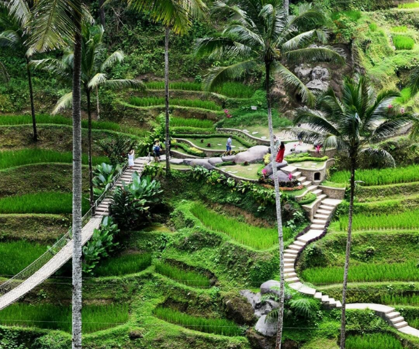 Ubud & Tegallalang Rice Terraces   