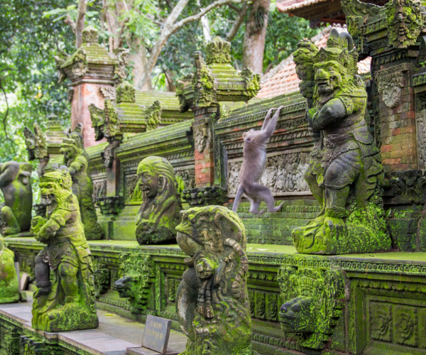 Sacred Monkey Forest 