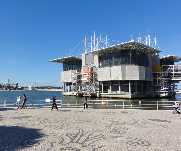 Lisbon Oceanarium 